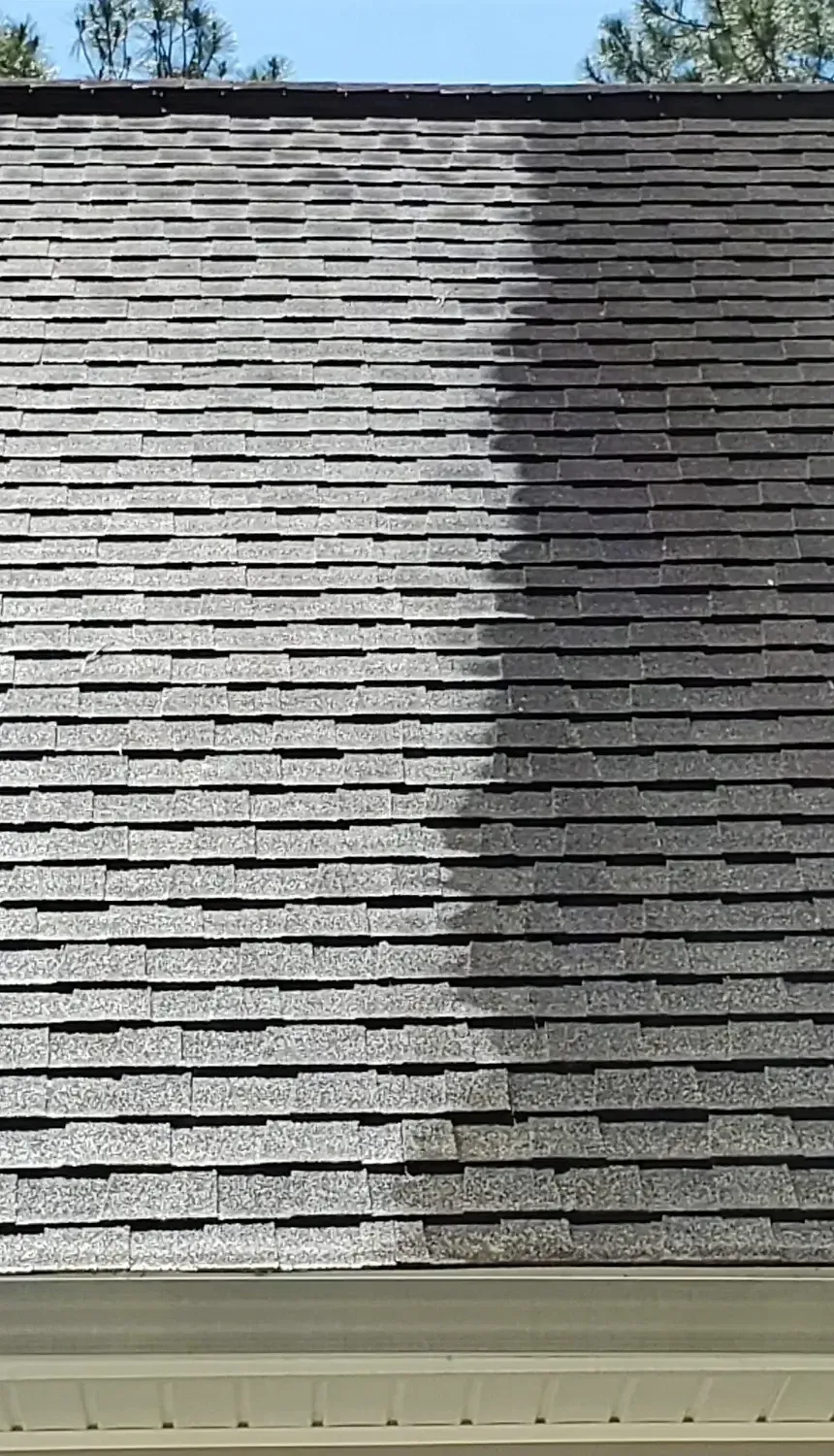 Asphalt shingle roof with dark algae streaking on one section and a cleaner section after professional non-pressure roof cleaning
